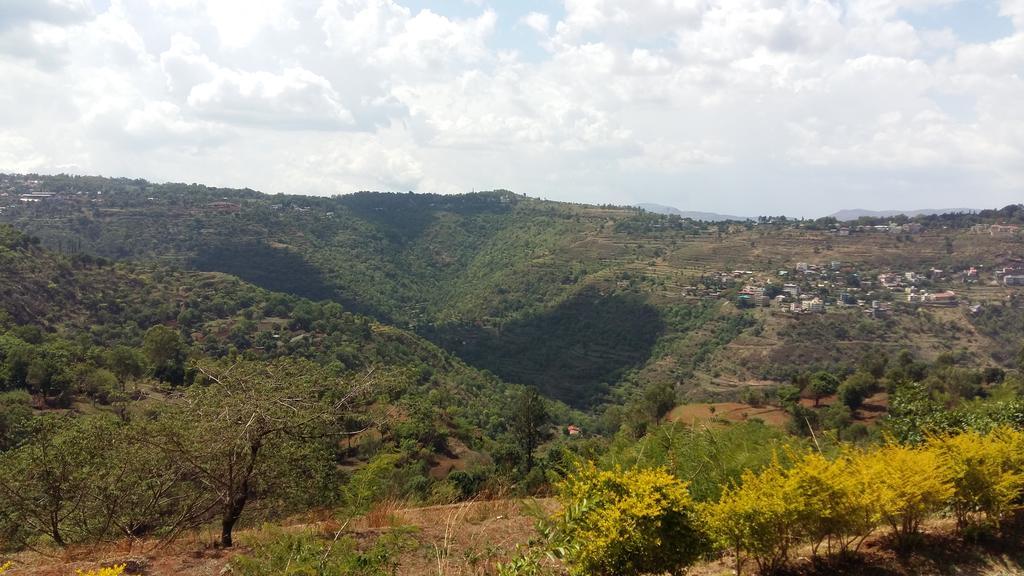 Hill Top Villa Panchgani Esterno foto